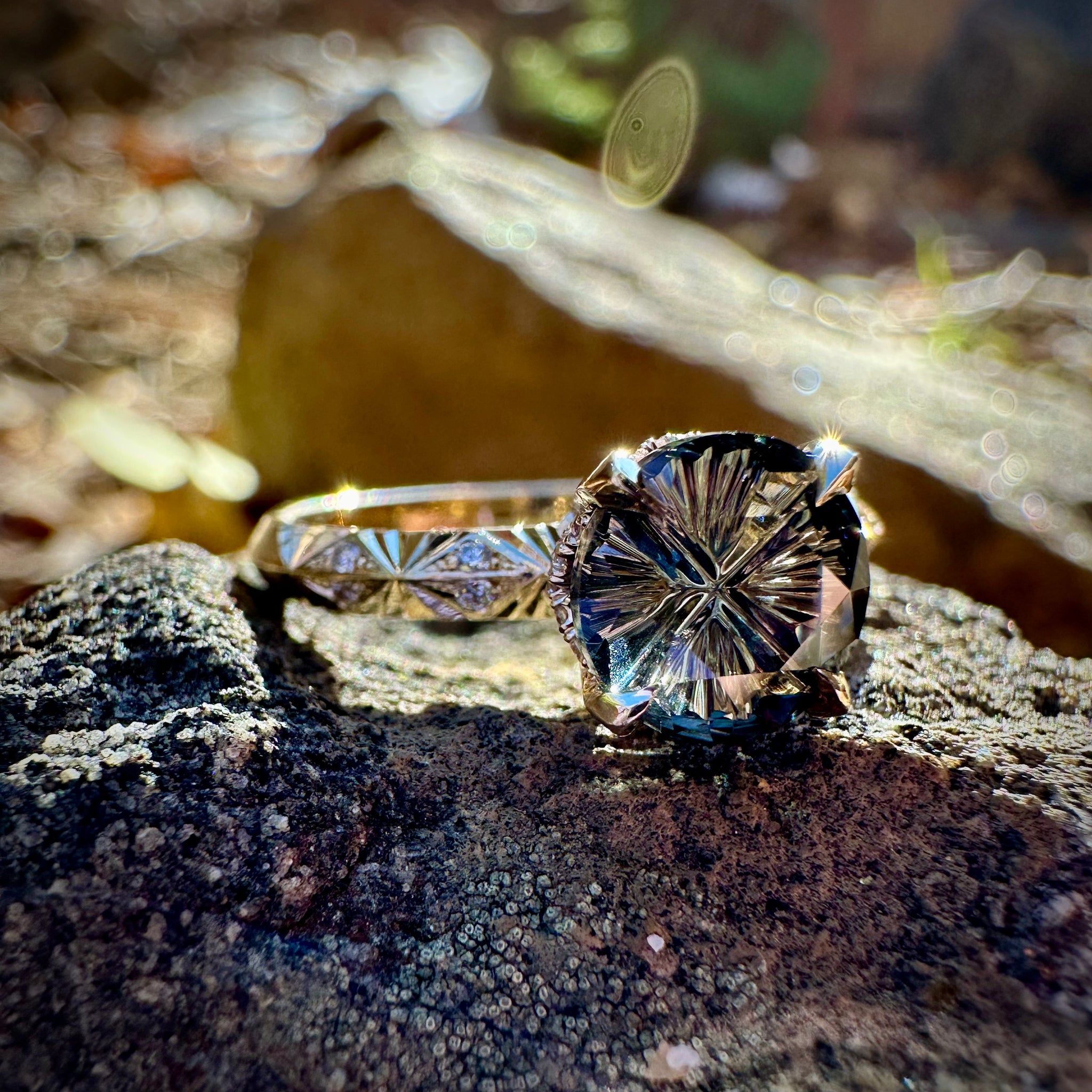 IMG_2806_2048x.heic?v=1746939904